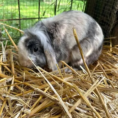 Le Perchoir De Charme Dans Chateau -spa-