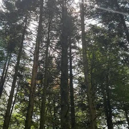 Le Perchoir De Charme Dans Chateau -spa-