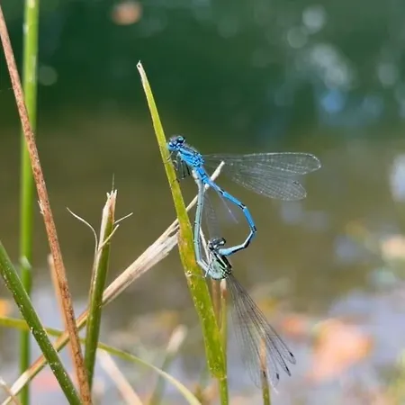 Le Perchoir De Charme Dans Chateau -spa- *