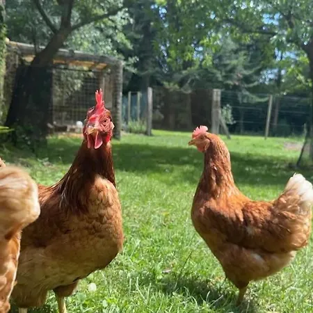 Le Perchoir De Charme Dans Chateau -spa- * Brix