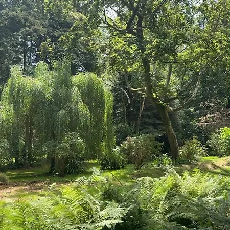 Apartment Le Perchoir De Charme Dans Chateau -spa- Brix