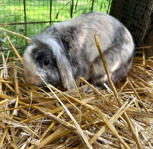 Le Perchoir De Charme Dans Chateau -spa-