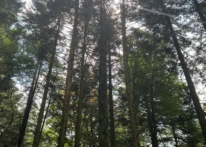 Le Perchoir De Charme Dans Chateau -spa-