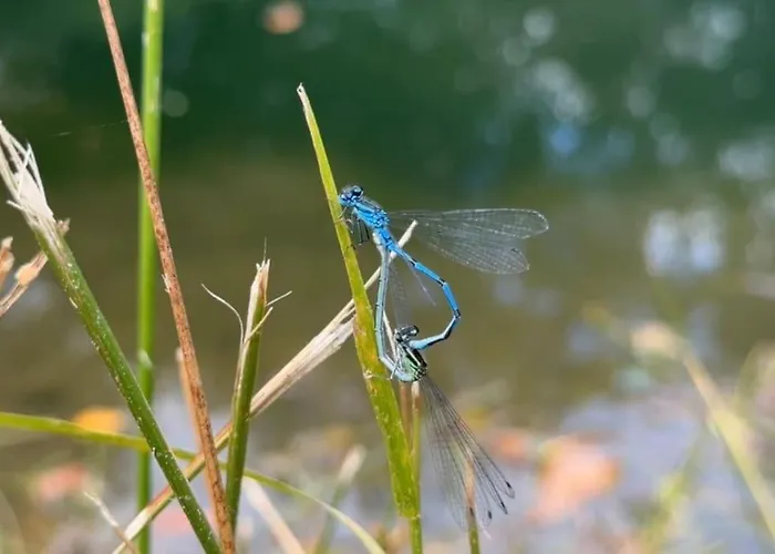Le Perchoir De Charme Dans Chateau -spa- *