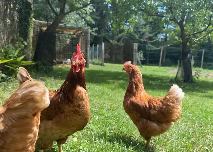 Le Perchoir De Charme Dans Chateau -spa- * Brix