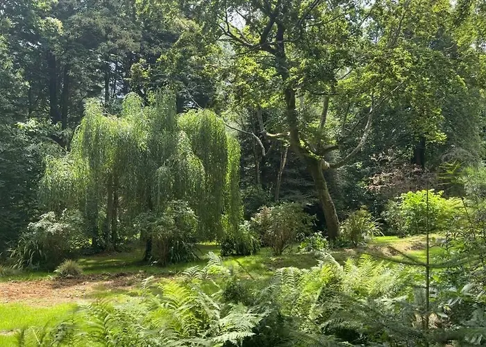 Appartement Le Perchoir De Charme Dans Chateau -spa- Brix